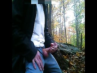 秋天的混蛋在樹林裡